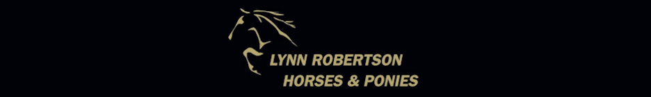 You are currently viewing Lynn Robertson Horses