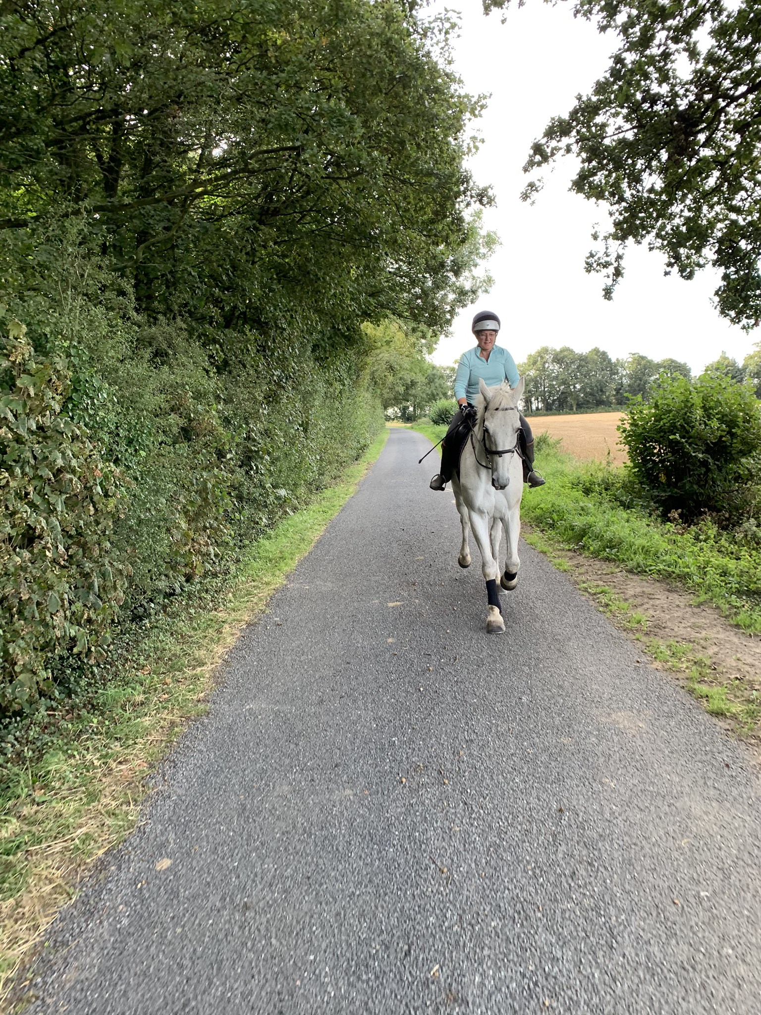 Read more about the article New Highway Code Rules – Protection for Horse Riders